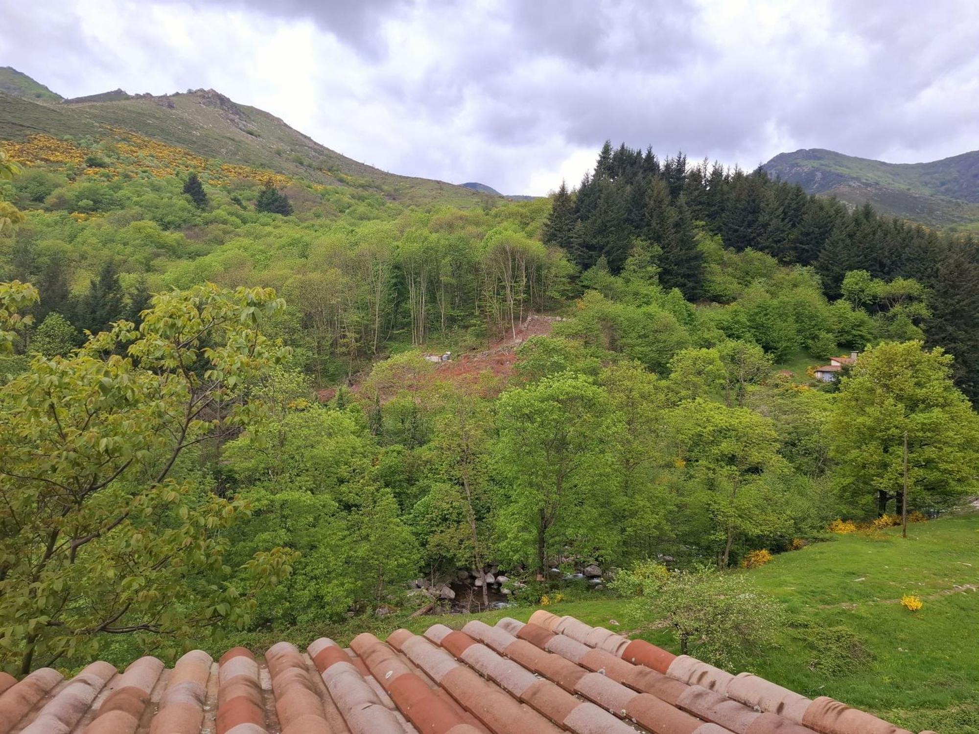 Auberge Arthea Laviolle Quarto foto